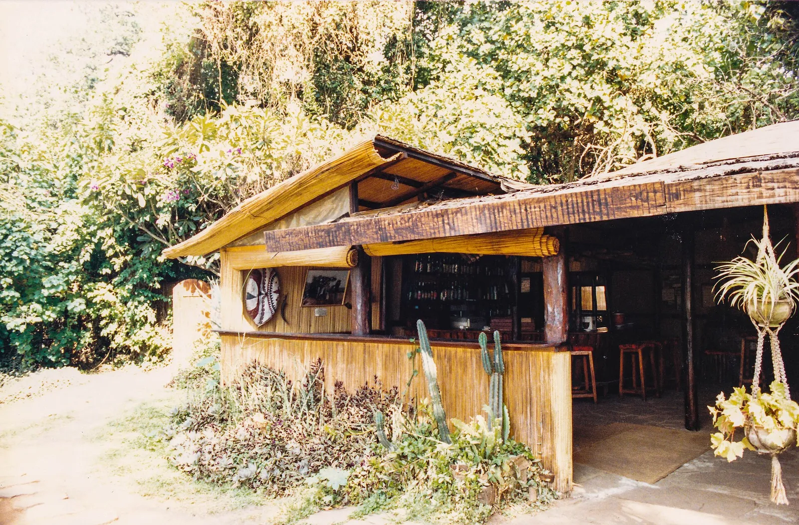 A reed-walled bar with a thatched roof and a Maasai shield on the wall at Cottars Camp, Masai Mara, in July 1988