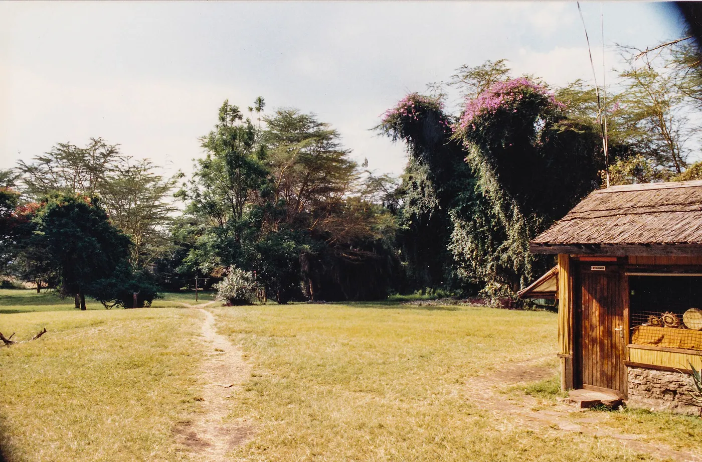 A lawn with a footpath, acacia trees and a small wooden hut at Cottars Camp, Masai Mara, in July 1988