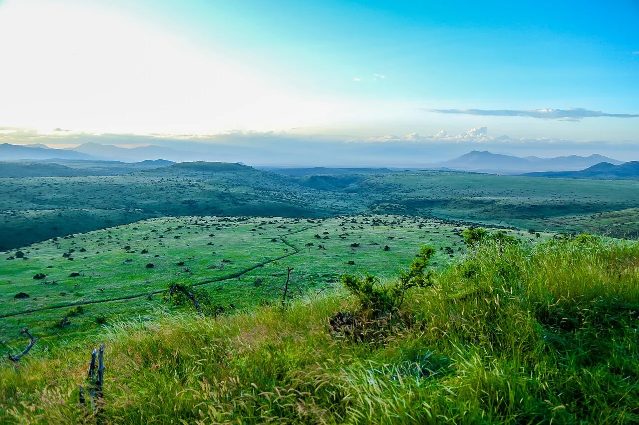 Green grassland and low hills stretching to distant mountains in Lewa Wildlife Conservancy, Kenya