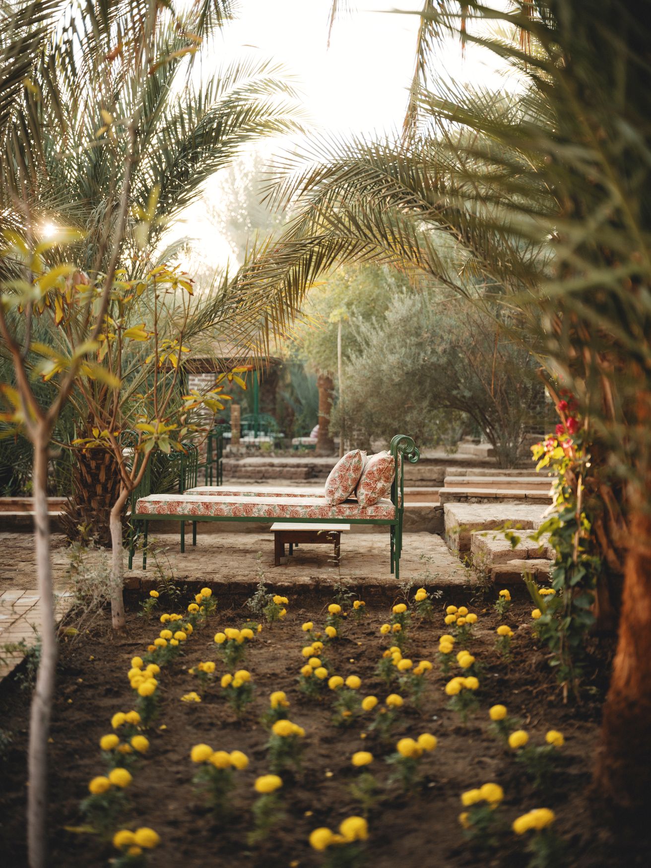 A garden path between palms and flowering beds, with cushioned daybeds under the trees at Al Moudira hotel, Luxor