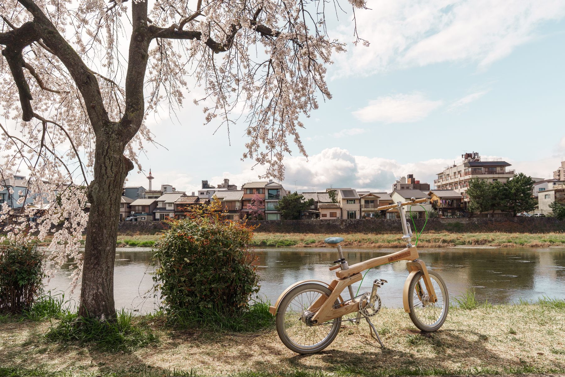 A bicycle parked under a cherry tree in blossom beside a river in Kyoto, with houses on the far bank