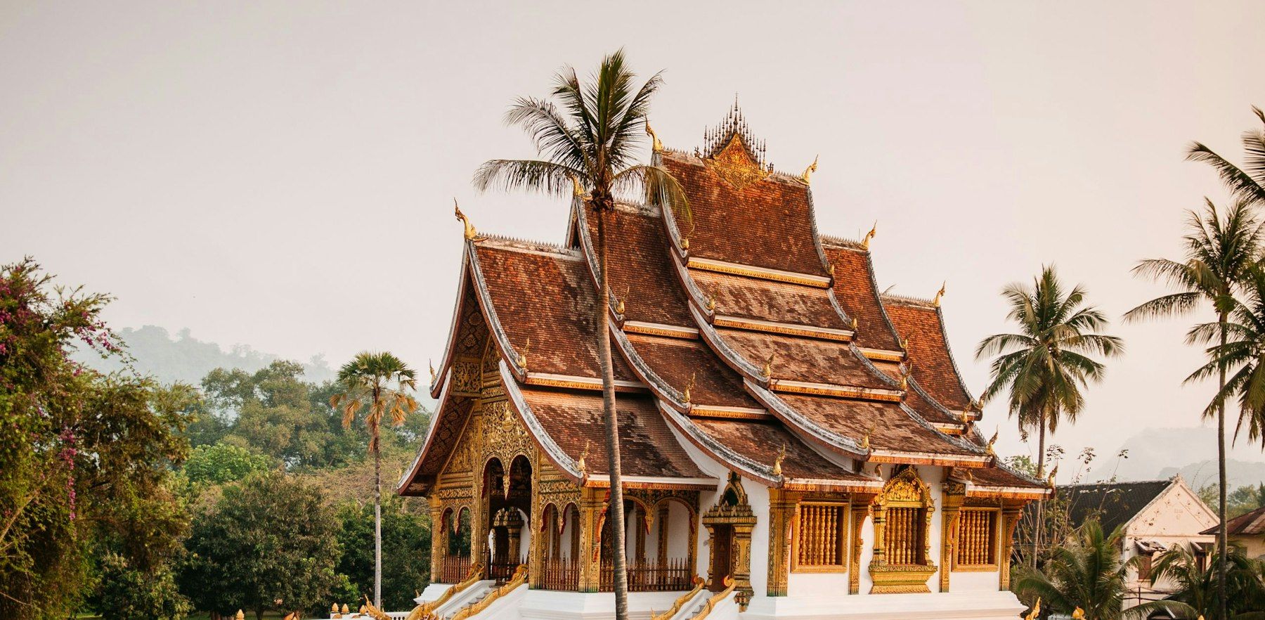A temple with layered, gilded roofs among palm trees in Luang Prabang, Laos