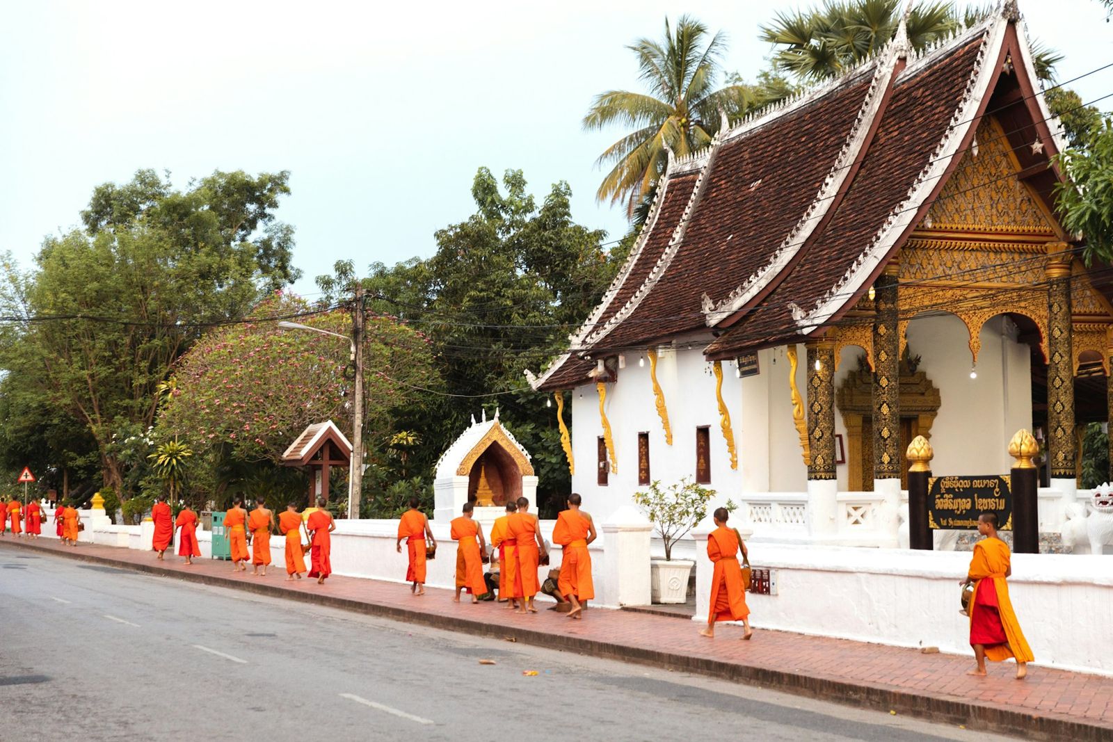 A line of monks in saffron robes walking along a street beside a white temple wall in Luang Prabang