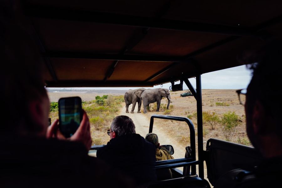 Travellers in an open safari vehicle watching elephants on dry grassland