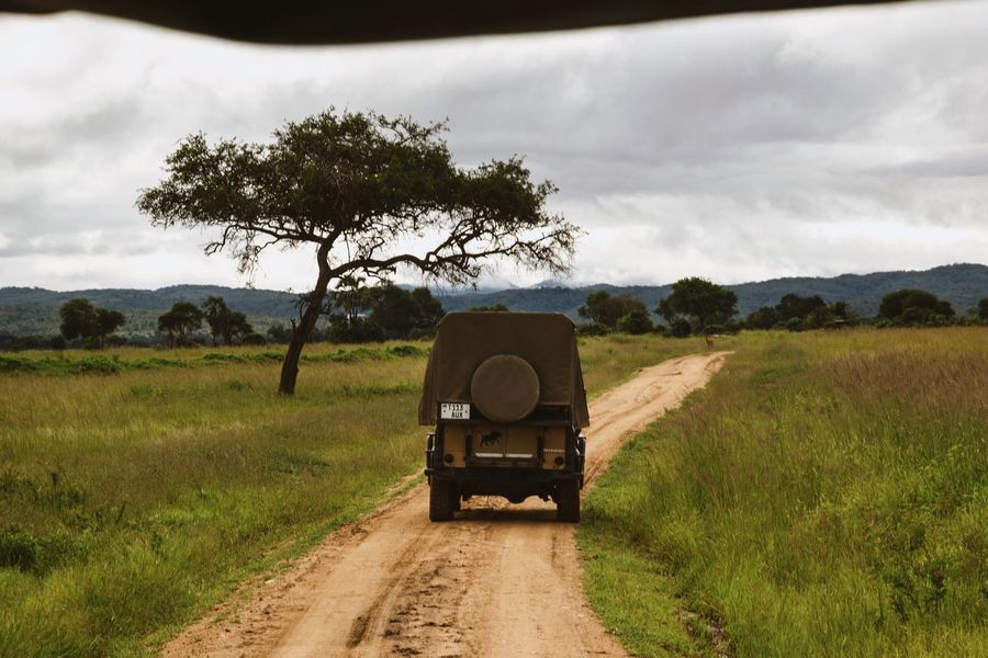 A safari vehicle on a dirt track through green grassland