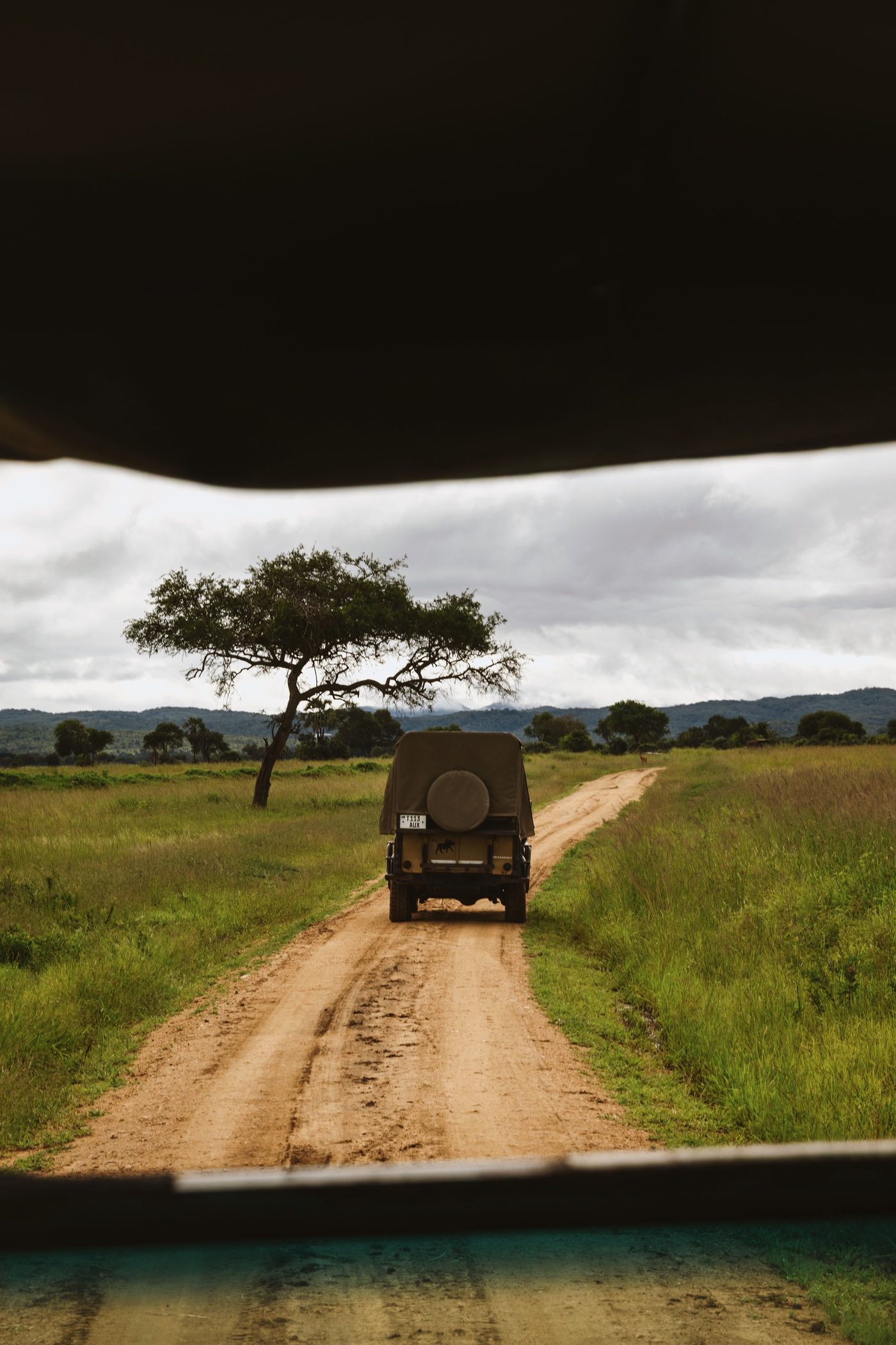 View from inside a safari vehicle of another 4x4 driving down a dirt track through green grassland in Mikumi National Park, Tanzania